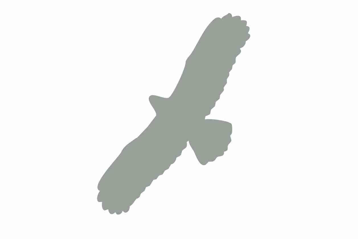 Vogelbeschermingssticker 60-100 cm EW-VOG-100-91, lichtgrijze kleur, gemaakt van weerbestendig kunststof