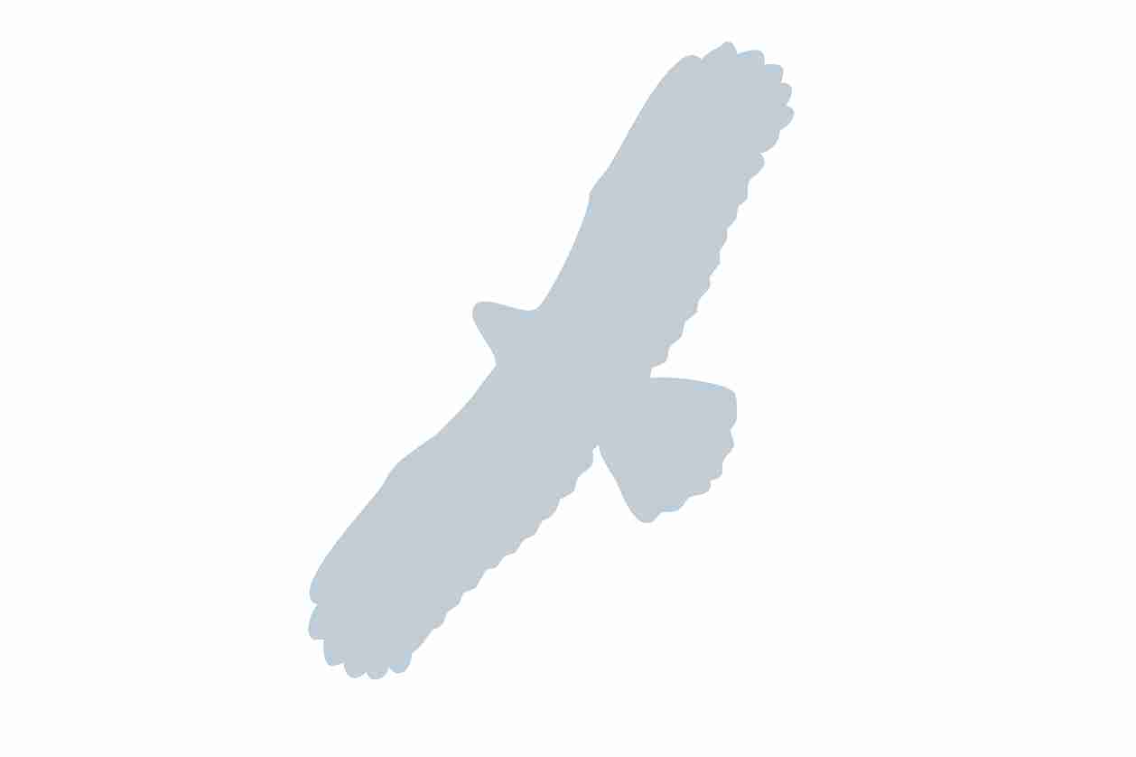 Vogelbeschermingssticker 60-100 cm EW-VOG-100-SIM, mat zilver, gemaakt van weerbestendig kunststof.