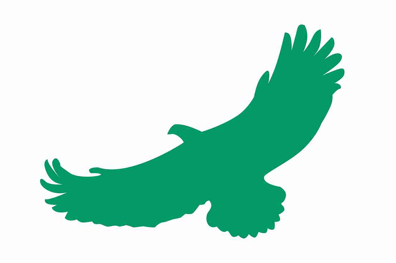 Vogelbeschermingssticker 60-100 cm EW-VOG-110-54, donkergroene kleur, gemaakt van weerbestendig kunststof.