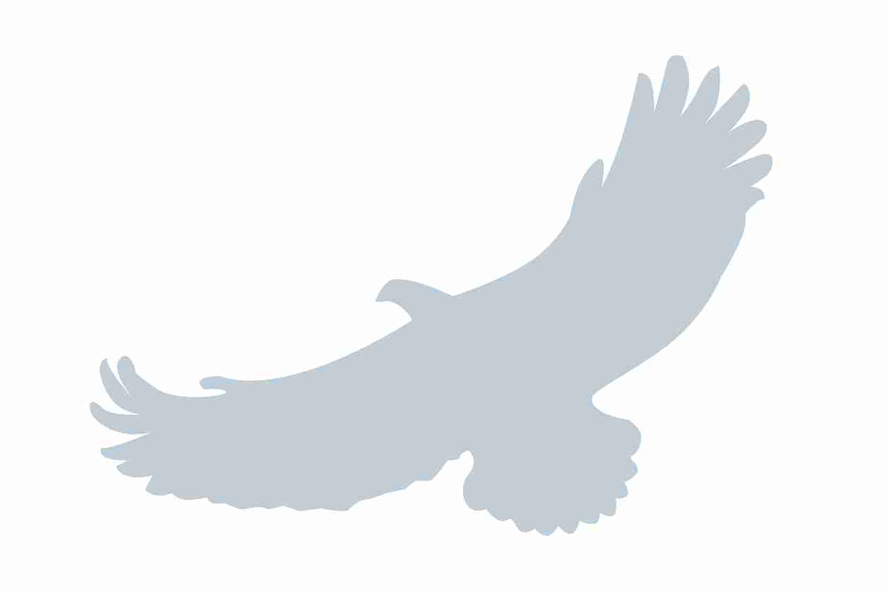 Vogelbeschermingssticker 10-50 cm EW-VOG-110-SIM, mat zilver, gemaakt van weerbestendig kunststof.