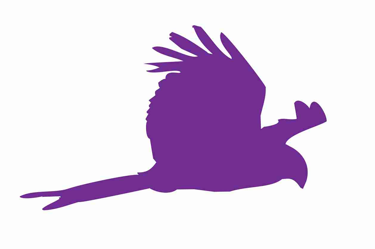 Vogelbeschermingssticker 60-100 cm EW-VOG-120-34, paarse kleur, gemaakt van weerbestendig kunststof.