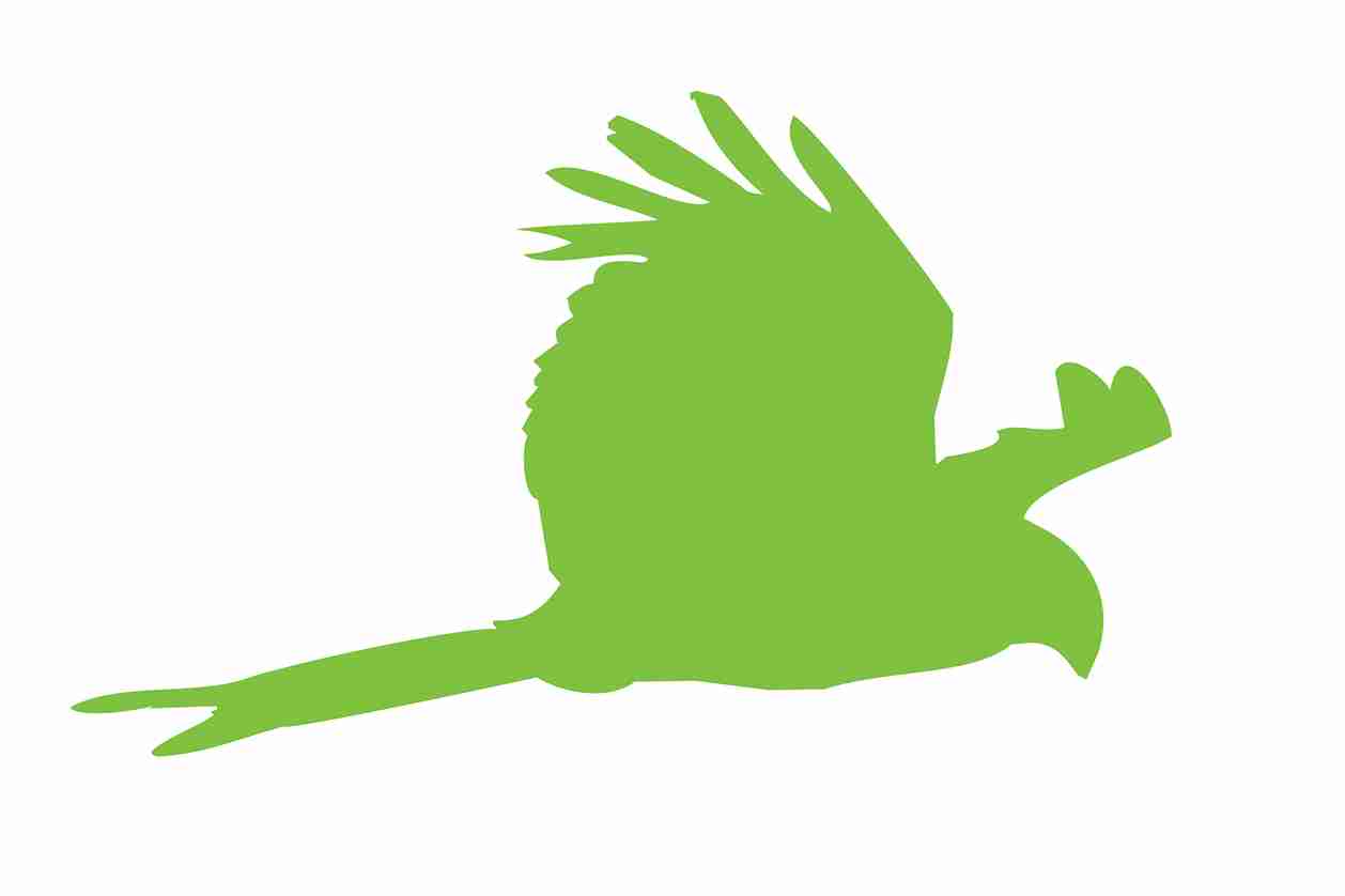 Vogelbeschermingssticker 60-100 cm EW-VOG-120-67, groene kleur, gemaakt van weerbestendig kunststof.