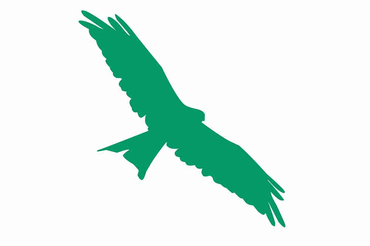 Vogelbeschermingssticker 60-100 cm EW-VOG-130-54, donkergroene kleur, gemaakt van weerbestendig kunststof.