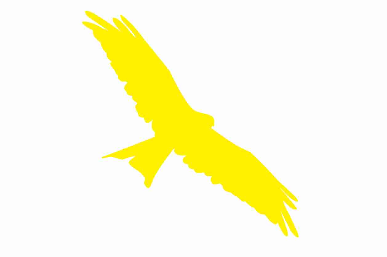 Vogelbeschermingssticker 10-50 cm EW-VOG-130-803, lichtgele kleur, gemaakt van weerbestendig kunststof.