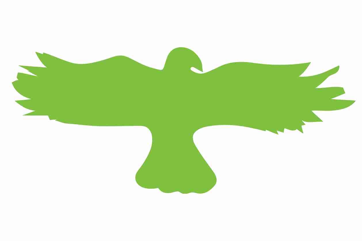 Vogelbeschermingssticker 60-100 cm EW-VOG-20-67, groene kleur, gemaakt van weerbestendig kunststof.