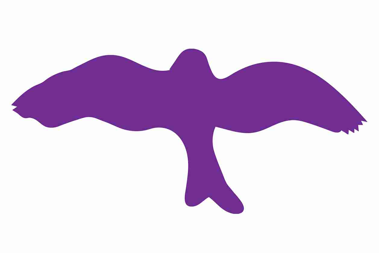 Vogelbeschermingssticker 60-100 cm EW-VOG-30-34, paarse kleur, gemaakt van weerbestendig kunststof.
