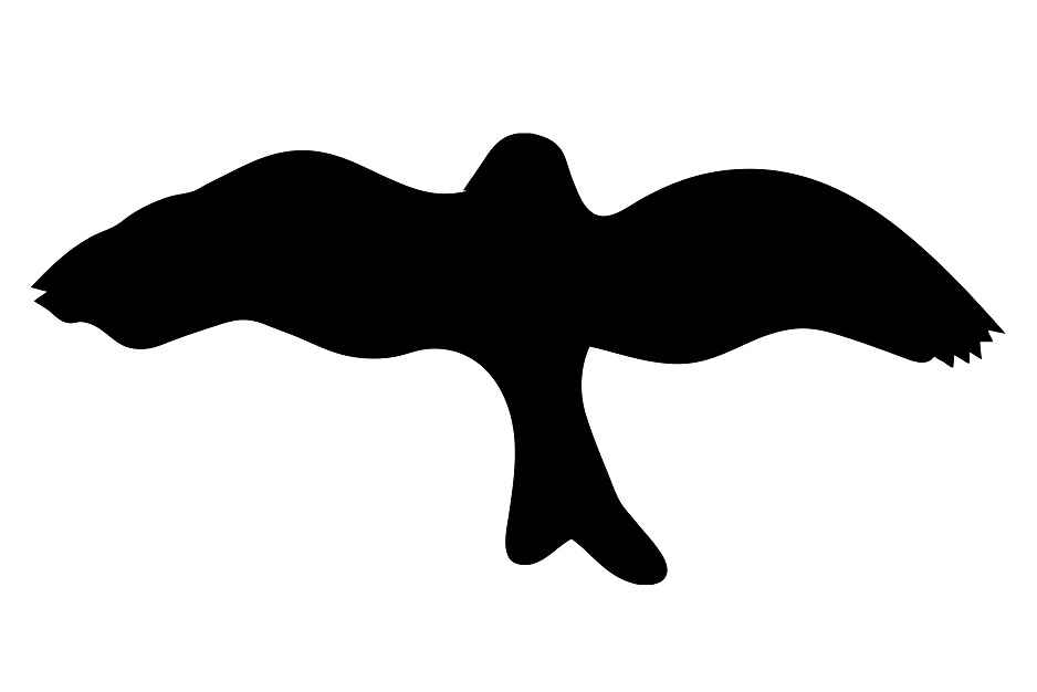 Vogelbeschermingssticker 60-100 cm EW-VOG-30-88, zwarte kleur, gemaakt van weerbestendig kunststof.