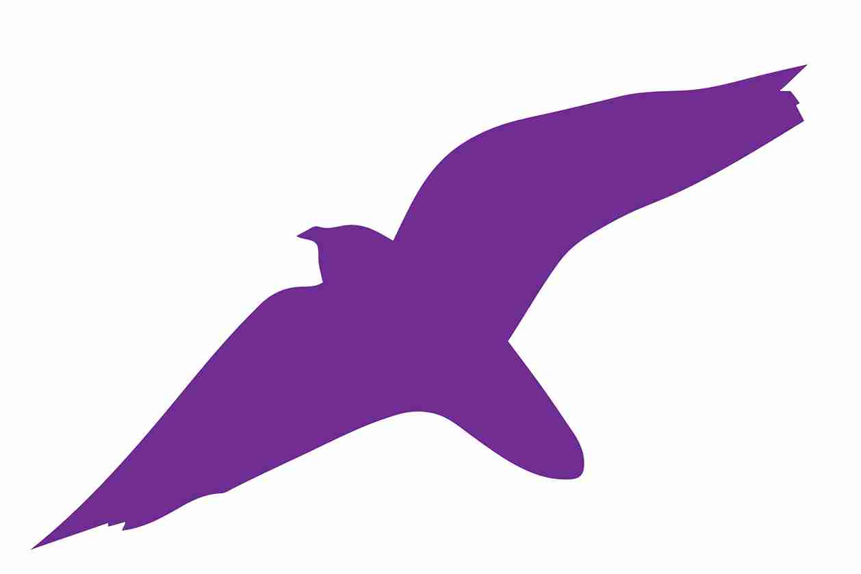 Vogelbeschermingssticker 60-100 cm EW-VOG-40-34, paarse kleur, gemaakt van weerbestendig kunststof.