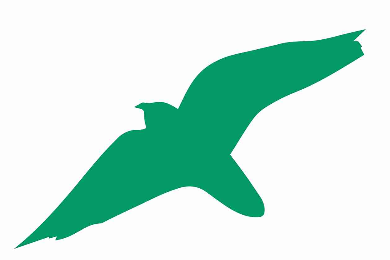 Vogelbeschermingssticker 10-50 cm EW-VOG-40-54, donkergroene kleur, gemaakt van weerbestendig kunststof.