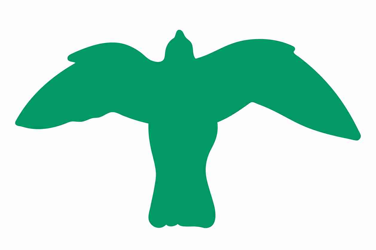Vogelbeschermingssticker 60-100 cm EW-VOG-50-54, donkergroene kleur, gemaakt van weerbestendig kunststof.