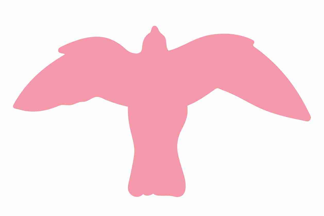 Vogelbeschermingssticker 60-100 cm EW-VOG-50-812, lichtrode kleur, gemaakt van weerbestendig kunststof.