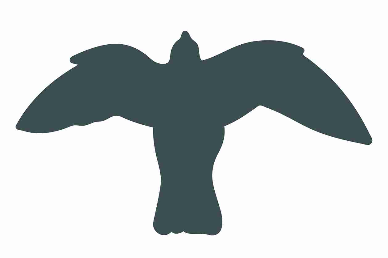 Vogelbeschermingssticker 10-50 cm EW-VOG-50-93, donkergrijze kleur, gemaakt van weerbestendig kunststof.