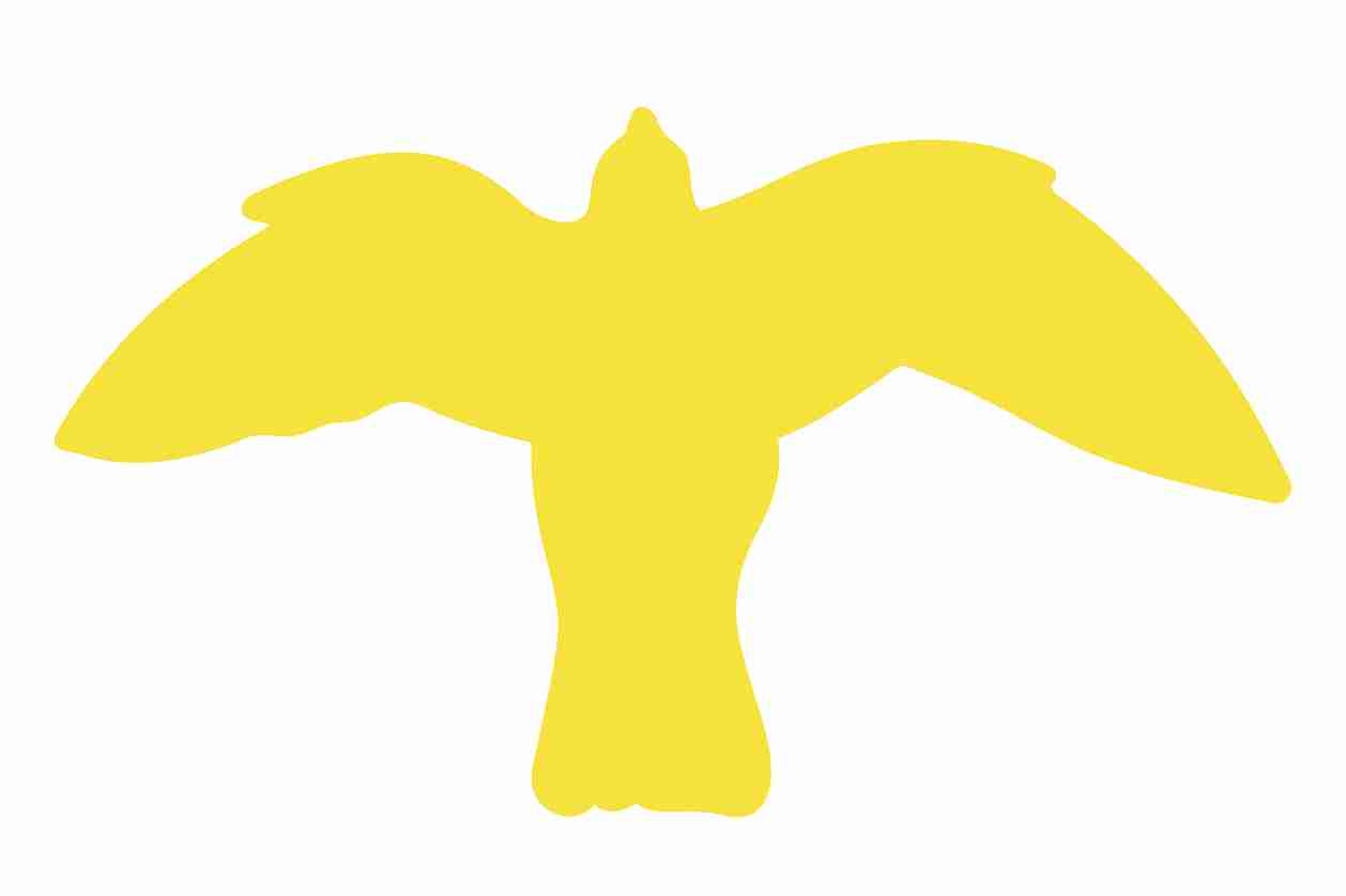 Vogelbeschermingssticker 60-100 cm EW-VOG-50-GOM, mat goud, gemaakt van weerbestendig kunststof.
