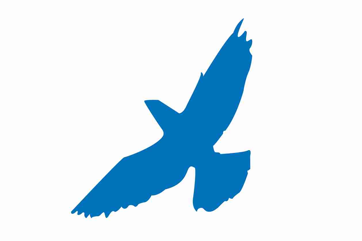 Vogelbeschermingssticker 60-100 cm EW-VOG-60-44, donkerblauwe kleur, gemaakt van weerbestendig kunststof.