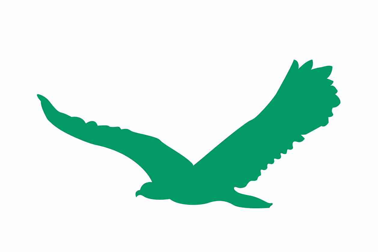 Vogelbeschermingssticker 60-100 cm EW-VOG-80-54, donkergroene kleur, gemaakt van weerbestendig kunststof.