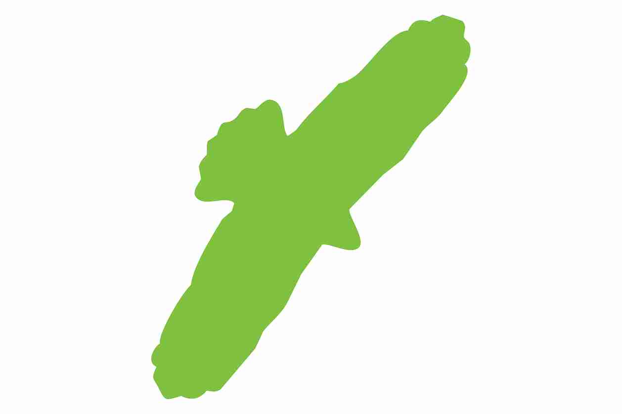 Vogelbeschermingssticker 60-100 cm EW-VOG-90-67, groene kleur, gemaakt van weerbestendig kunststof.