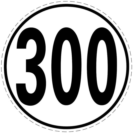 Snelheidsbord 300 km/uur  EW-CAR5000-300