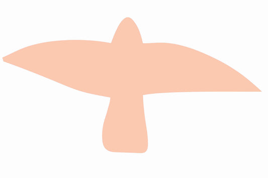 Vogelbeschermingssticker 60-100 cm EW-VOG-10-811, lichtt Oranje kleur, gemaakt van weerbestendig kunststof.