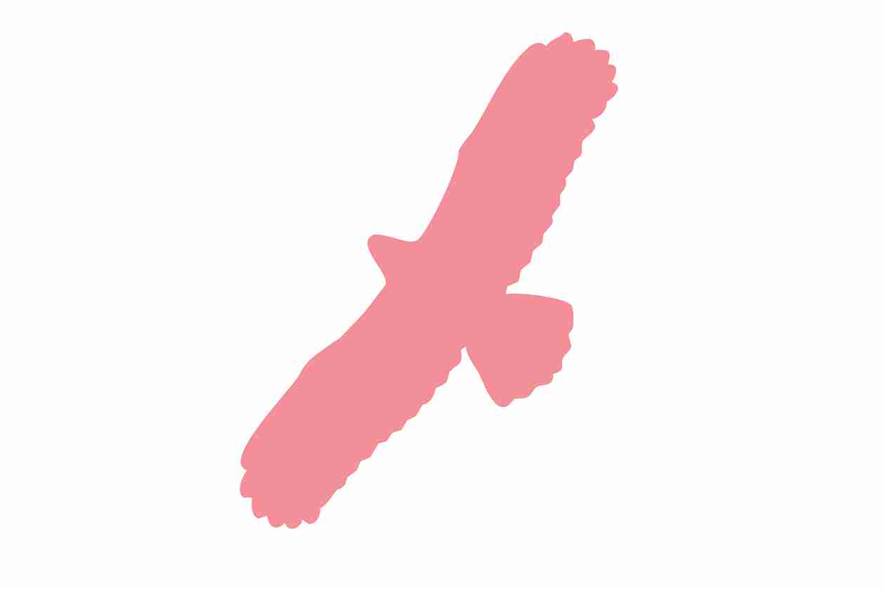 Vogelbeschermingssticker 10-50 cm EW-VOG-100-21, lichtroze kleur, gemaakt van weerbestendig kunststof.