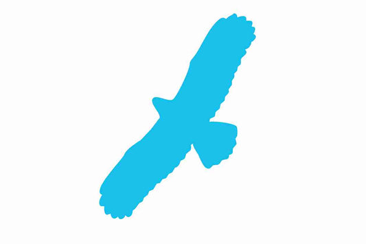 Vogelbeschermingssticker 10-50 cm EW-VOG-100-50, lichtblauwe kleur, gemaakt van weerbestendig kunststof.