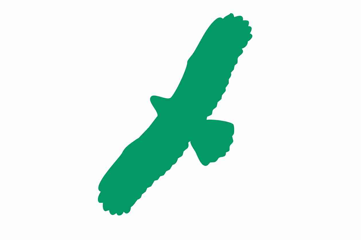 Vogelbeschermingssticker 60-100 cm EW-VOG-100-54, donkergroene kleur, gemaakt van weerbestendig kunststof.
