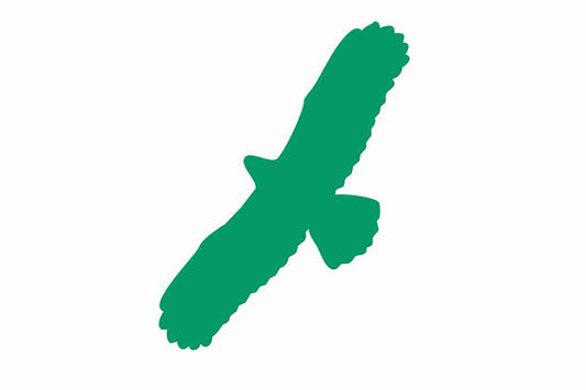Vogelbeschermingssticker 60-100 cm EW-VOG-100-54, donkergroene kleur, gemaakt van weerbestendig kunststof.