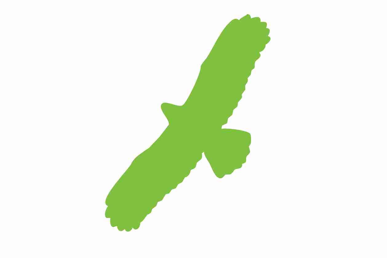Vogelbeschermingssticker 60-100 cm EW-VOG-100-67, groene kleur, gemaakt van weerbestendig kunststof.