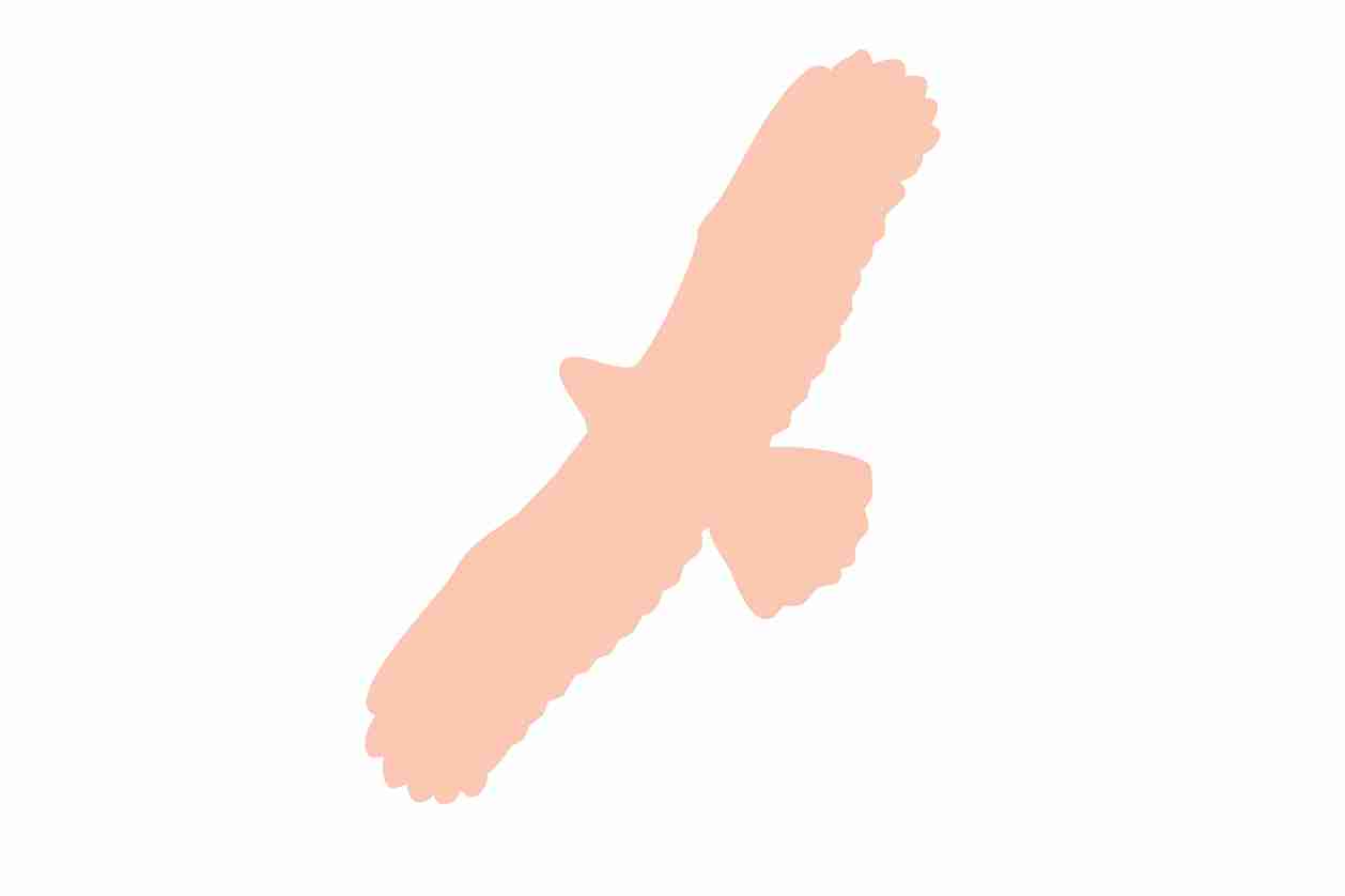 Vogelbeschermingssticker 60-100 cm EW-VOG-100-811, lichtt Oranje kleur, gemaakt van weerbestendig kunststof.