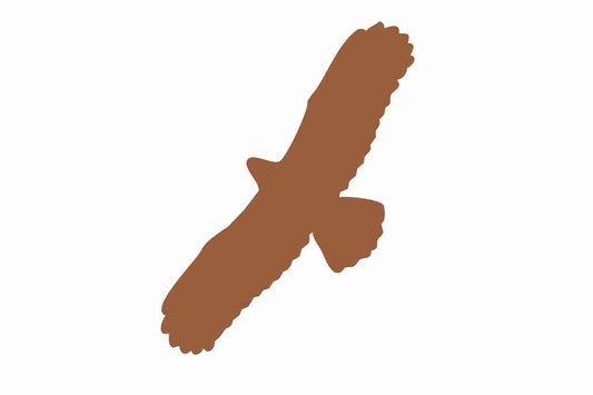 Vogelbeschermingssticker 60-100 cm EW-VOG-100-84, donkerbruine kleur, gemaakt van weerbestendig kunststof