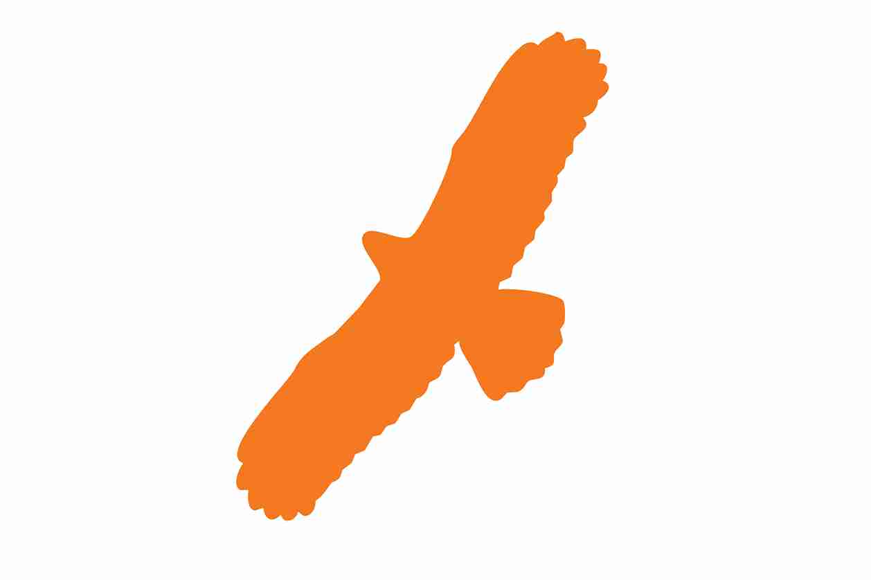 Vogelbeschermingssticker 60-100 cm EW-VOG-100-8, oranje kleur, gemaakt van weerbestendig kunststof.