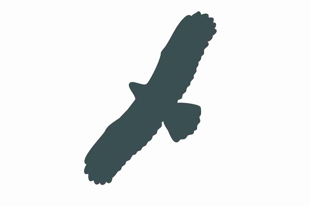 Vogelbeschermingssticker 10-50 cm EW-VOG-100-93, donkergrijze kleur, gemaakt van weerbestendig kunststof.