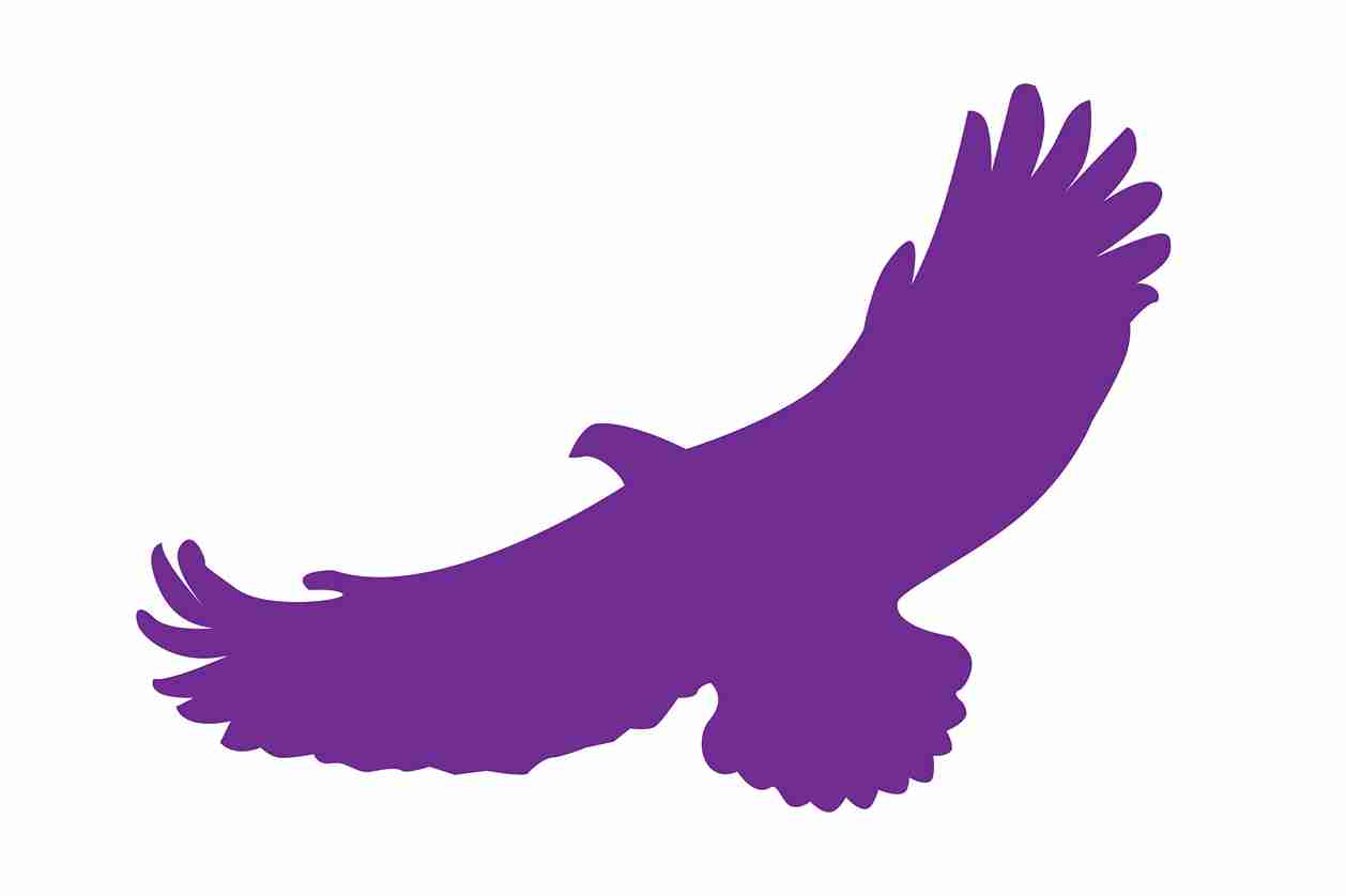 Vogelbeschermingssticker 60-100 cm EW-VOG-110-34, paarse kleur, gemaakt van weerbestendig kunststof.