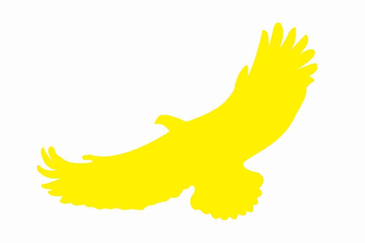 Vogelbeschermingssticker 60-100 cm EW-VOG-110-3, gele kleur, gemaakt van weerbestendig kunststof