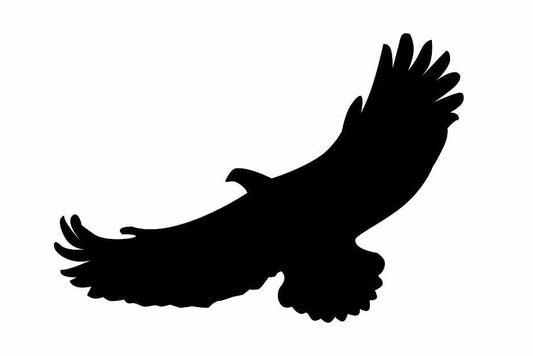 Vogelbeschermingssticker 60-100 cm EW-VOG-110-88, zwarte kleur, gemaakt van weerbestendig kunststof.