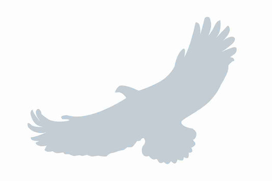 Vogelbeschermingssticker 60-100 cm EW-VOG-110-SIM, mat zilver, gemaakt van weerbestendig kunststof.