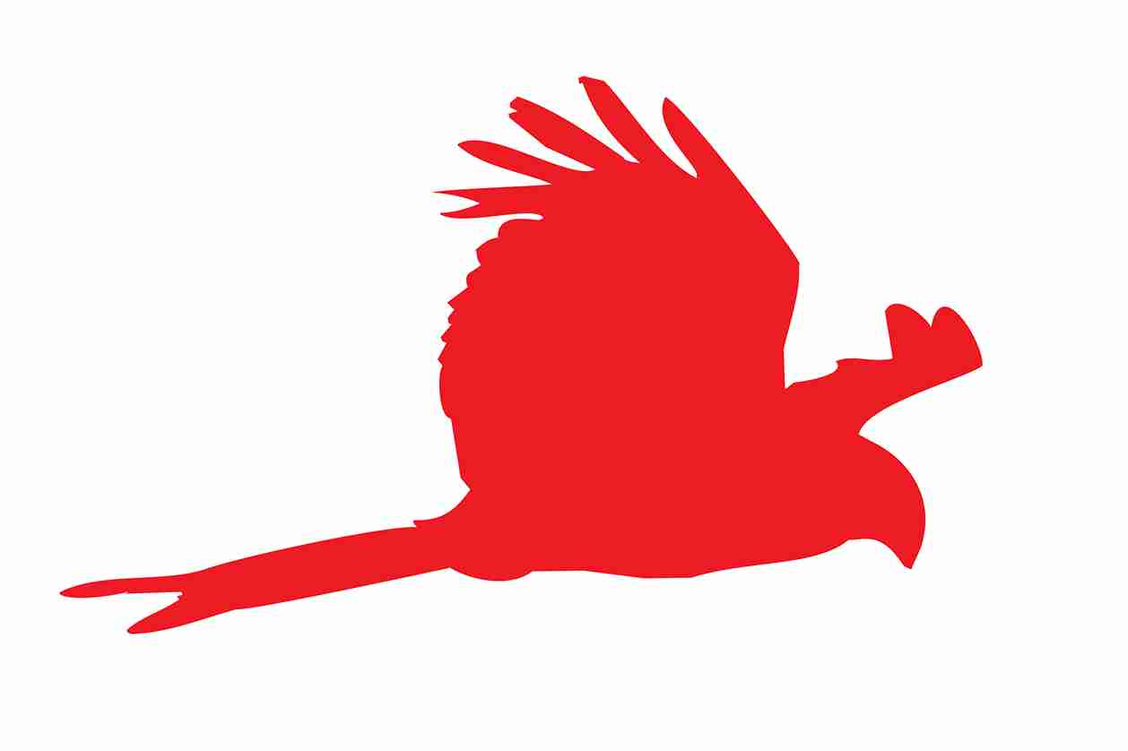 Vogelbeschermingssticker 10-50 cm EW-VOG-120-14, rode kleur, gemaakt van weerbestendig kunststof.