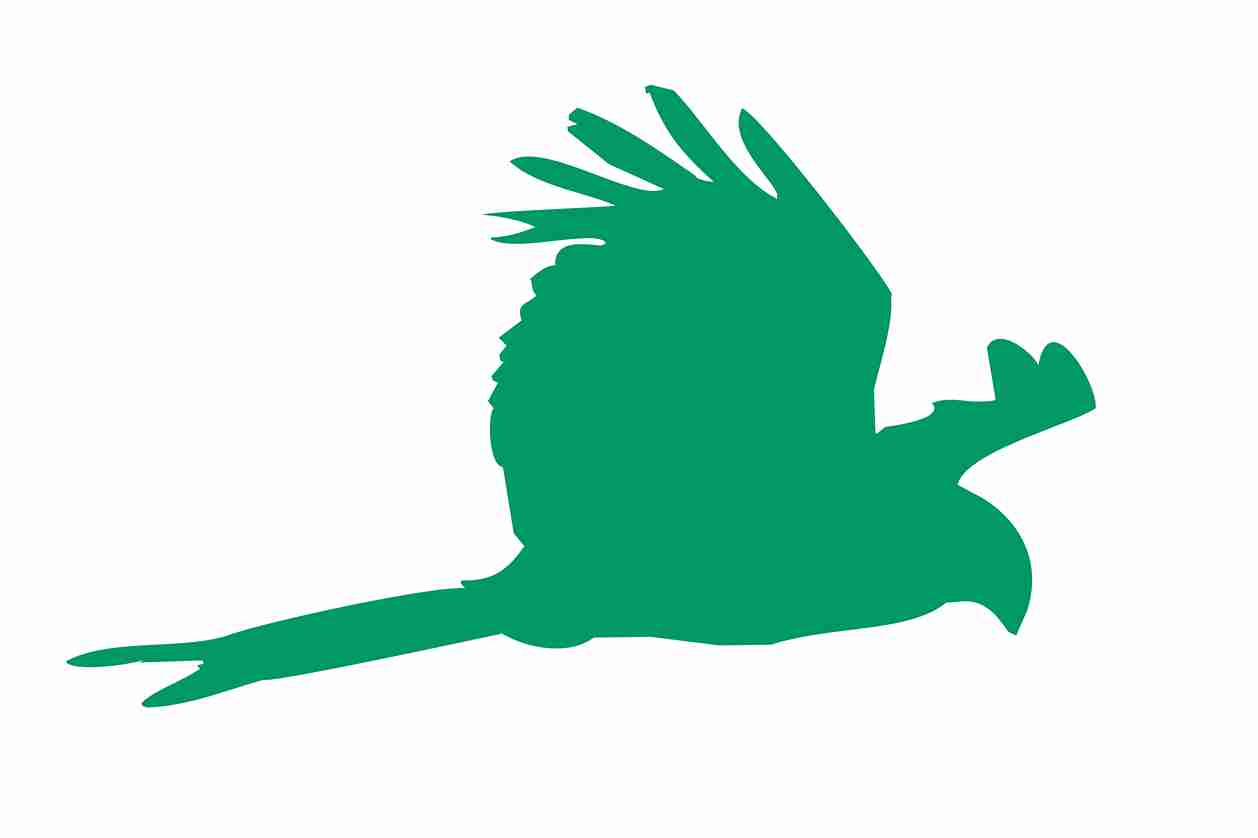 Vogelbeschermingssticker 60-100 cm EW-VOG-120-54, donkergroene kleur, gemaakt van weerbestendig kunststof.