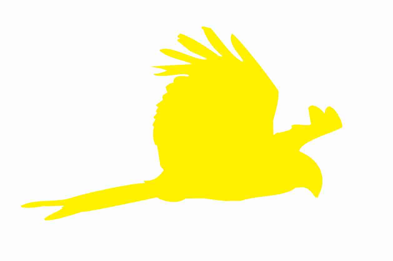 Vogelbeschermingssticker 60-100 cm EW-VOG-120-803, lichtgele kleur, gemaakt van weerbestendig kunststof.
