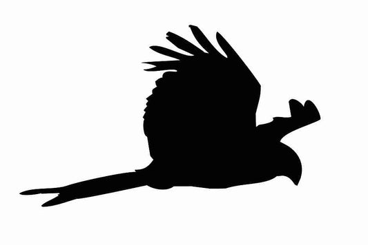 Vogelbeschermingssticker 60-100 cm EW-VOG-120-88, zwarte kleur, gemaakt van weerbestendig kunststof.