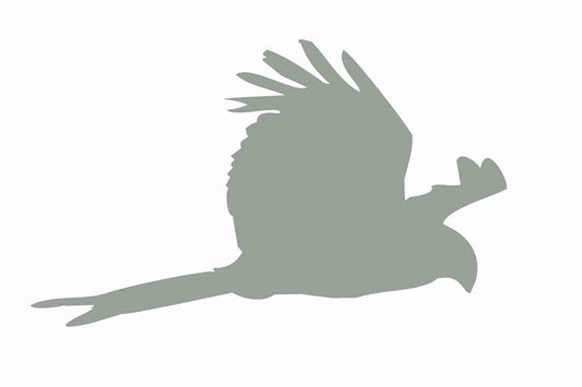 Vogelbeschermingssticker 60-100 cm EW-VOG-120-91, lichtgrijze kleur, gemaakt van weerbestendig kunststof