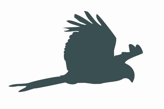 Vogelbeschermingssticker 10-50 cm EW-VOG-120-93, donkergrijze kleur, gemaakt van weerbestendig kunststof.