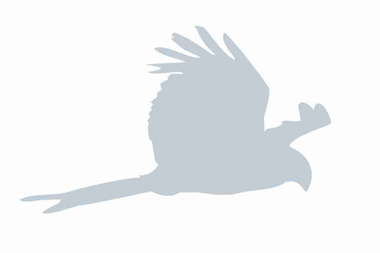 Vogelbeschermingssticker 10-50 cm EW-VOG-120-SIM, mat zilver, gemaakt van weerbestendig kunststof.
