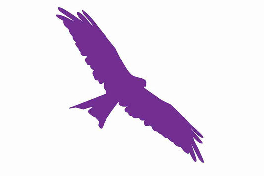 Vogelbeschermingssticker 60-100 cm EW-VOG-130-34, paarse kleur, gemaakt van weerbestendig kunststof.