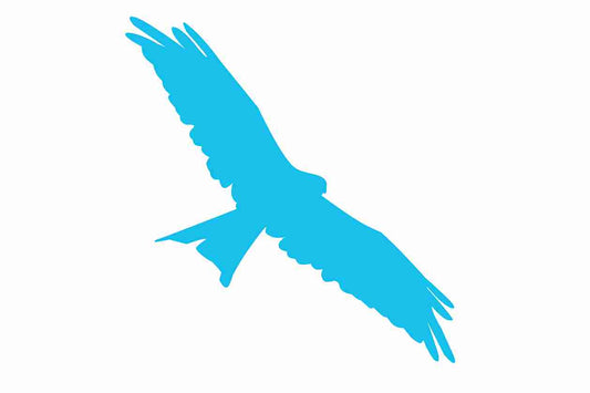 Vogelbeschermingssticker 60-100 cm EW-VOG-130-50, lichtblauwe kleur, gemaakt van weerbestendig kunststof.