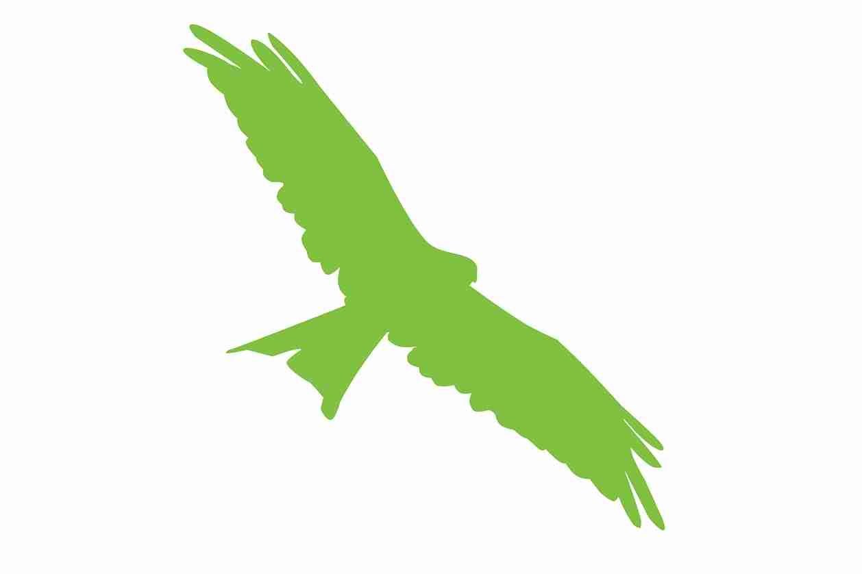 Vogelbeschermingssticker 60-100 cm EW-VOG-130-67, groene kleur, gemaakt van weerbestendig kunststof.