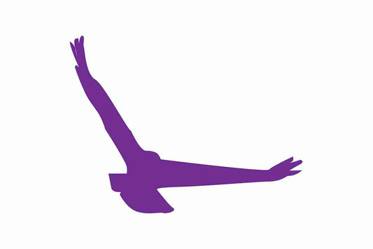 Vogelbeschermingssticker 60-100 cm EW-VOG-140-34, paarse kleur, gemaakt van weerbestendig kunststof.