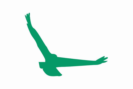 Vogelbeschermingssticker 10-50 cm EW-VOG-140-54, donkergroene kleur, gemaakt van weerbestendig kunststof