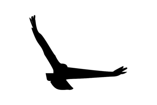 Vogelbeschermingssticker 60-100 cm EW-VOG-140-88, zwarte kleur, gemaakt van weerbestendig kunststof.