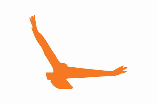 Vogelbeschermingssticker 60-100 cm EW-VOG-140-8, oranje kleur, gemaakt van weerbestendig kunststof.