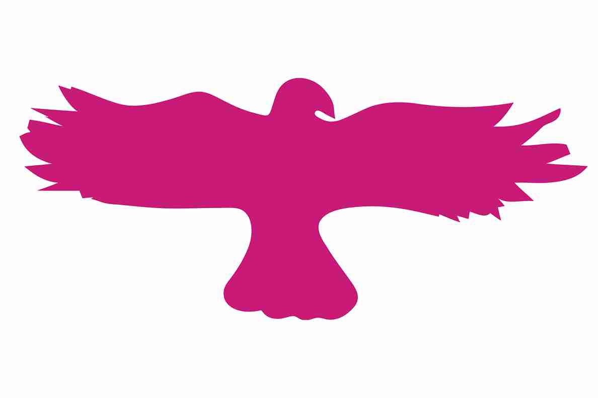 Vogelbeschermingssticker 60-100 cm EW-VOG-20-26, magenta kleur, gemaakt van weerbestendig kunststof.
